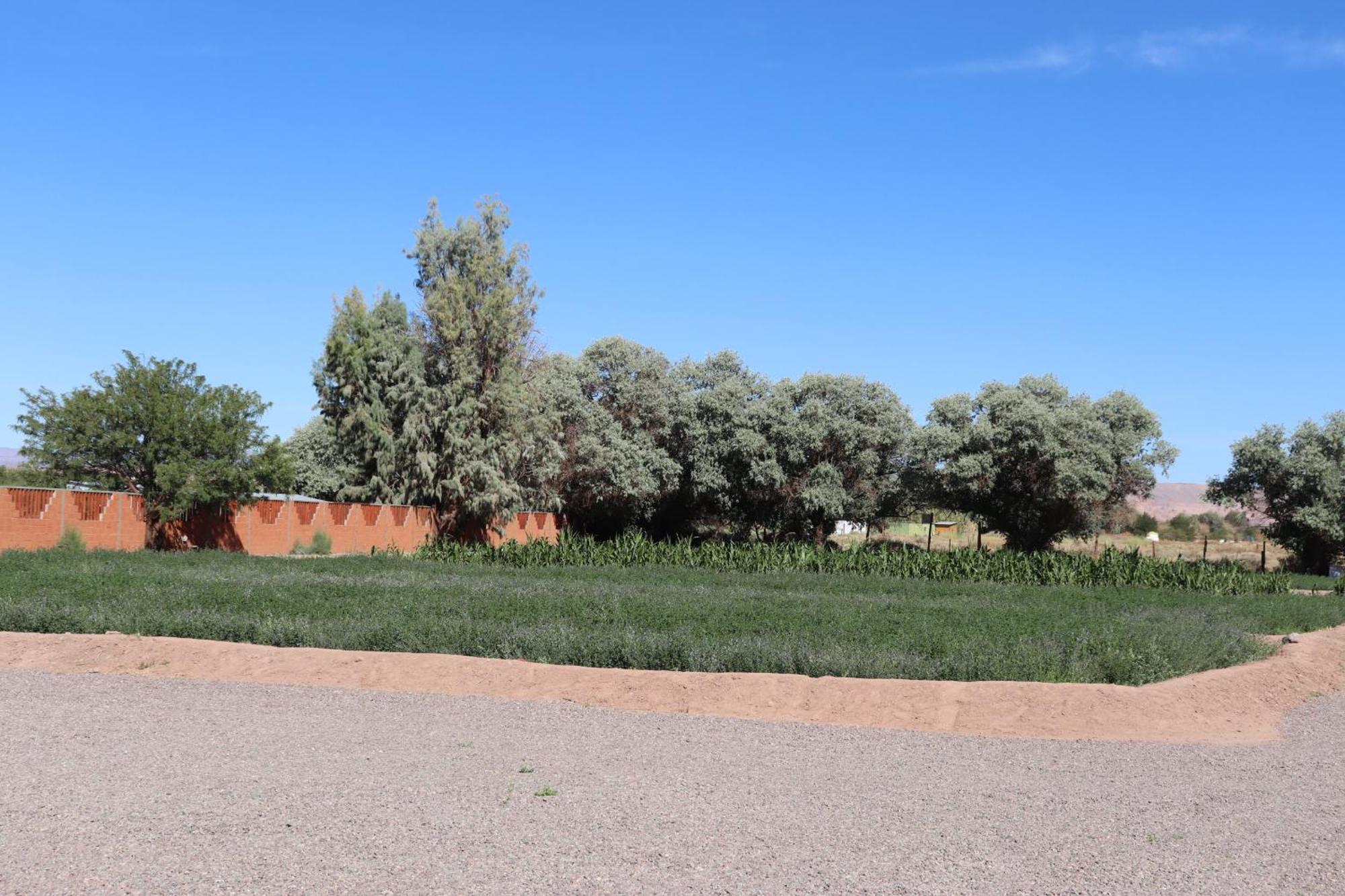 Atacamatoconar Bed & Breakfast Solor Ngoại thất bức ảnh