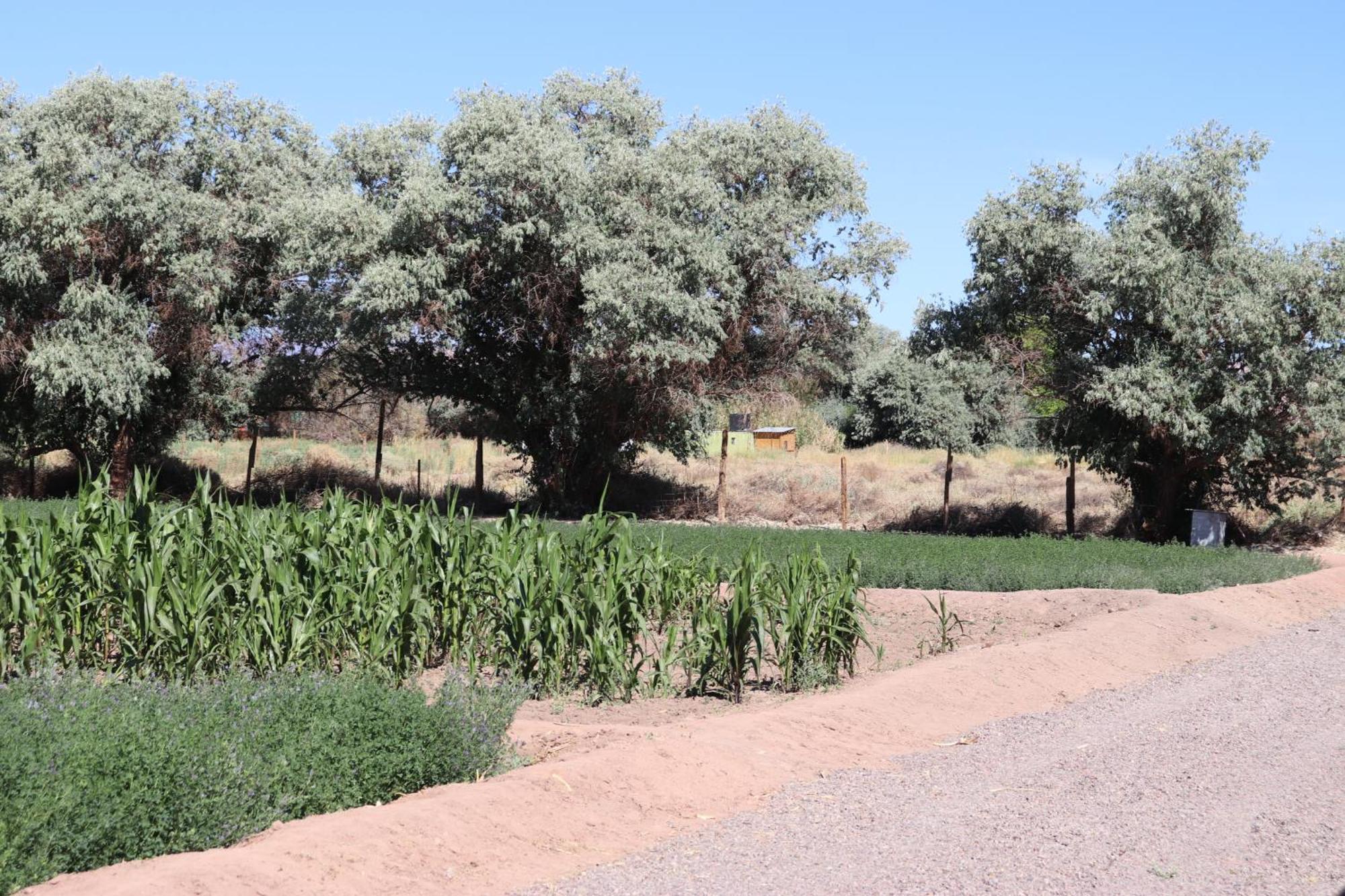 Atacamatoconar Bed & Breakfast Solor Ngoại thất bức ảnh